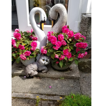 Tribute photo for Catherine Joan DOCHERTY