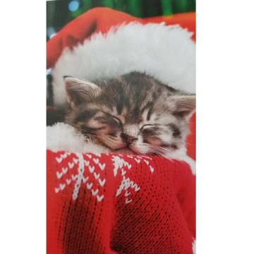 Tribute photo for Catherine Joan DOCHERTY