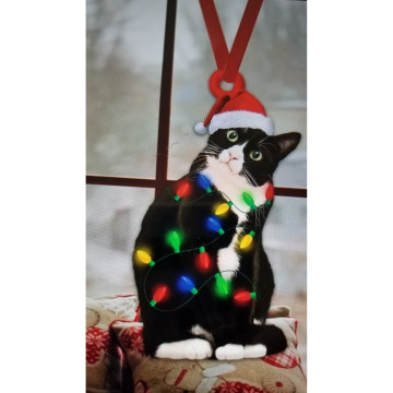 Tribute photo for Catherine Joan DOCHERTY