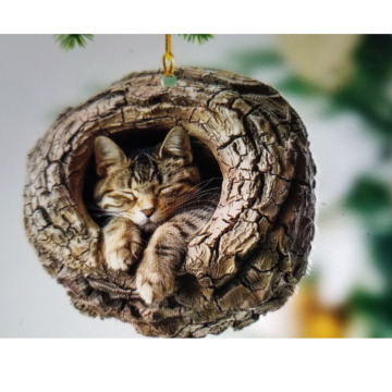 Notice Gallery for Catherine Joan DOCHERTY