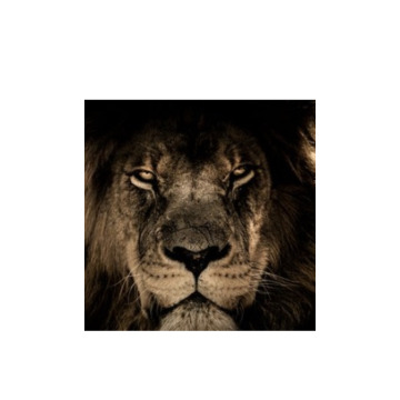 Notice Gallery for Paul Alan TAYLOR