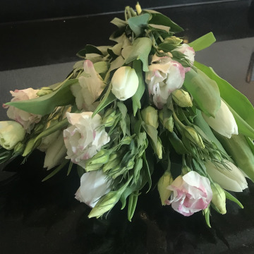 Notice Gallery for Claire READER