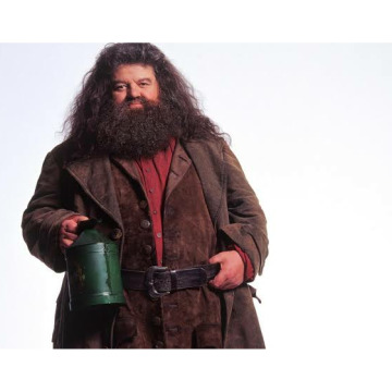 Notice Gallery for Robbie Coltrane