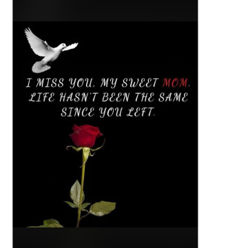 Photo for notice Jean COSIER