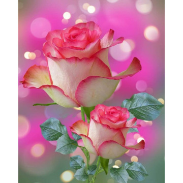 Photo of Betty DOIG (BIRCH)