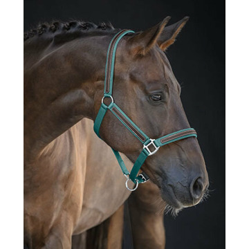 Photo of William DOIG