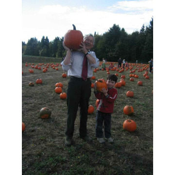 Notice Gallery for John GEOGHEGAN