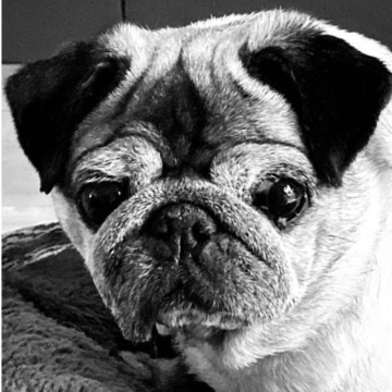 Notice Gallery for Lola THOMPSON