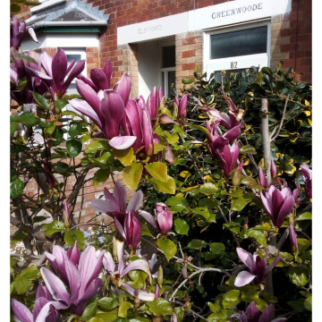 Notice Gallery for John W BRABNER