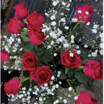 Notice Gallery for Gwylfa JONES