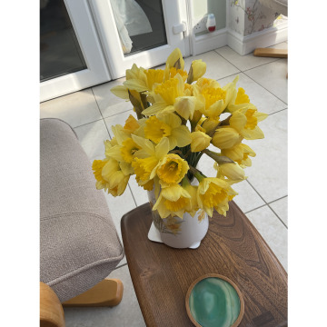 Notice Gallery for Matthew ASHMORE