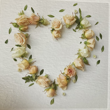 Notice Gallery for Iris HOLTON