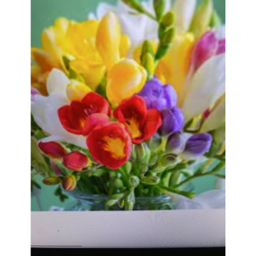 Photo for notice Ivan John DEXTER