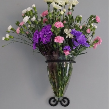 Photo for notice Jacqui SHEWAN