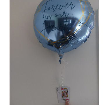 Notice Gallery for Alexander William SPEERS