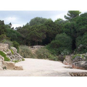 Photo of Paul SCOBLE