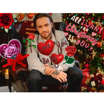 Notice Gallery for Liam  Payne 