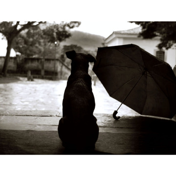 Notice Gallery for Dobie FLEMING