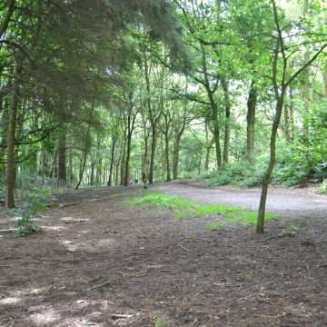 Photo of Francis CAVANAGH (FRANK)