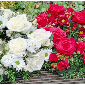 Photo of Adelaide TILEY