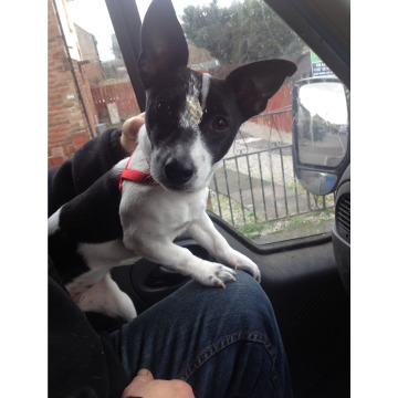 Photo of Dale James LAVERY