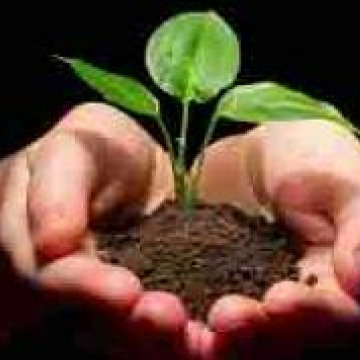 Photo of Janice Charnley HARGREAVES