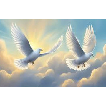 Photo of Mary Rose KAVANAGH