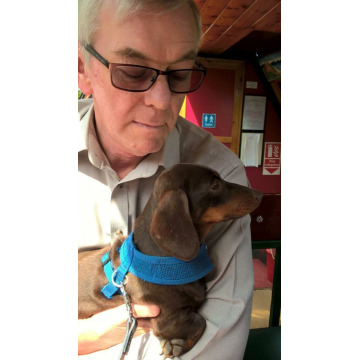 Photo of Alan ROSTRON