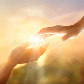 Photo of Sheila TOBIN