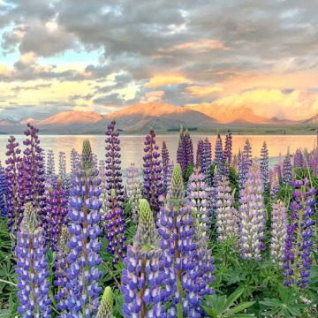 Notice Gallery for Garry Lee DEAN