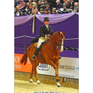 Photo of Malcolm ROSSER