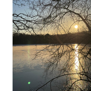 Notice Gallery for Judith Barbara HALL