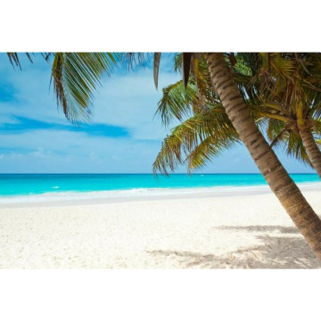 Notice Gallery for Chris  Rea