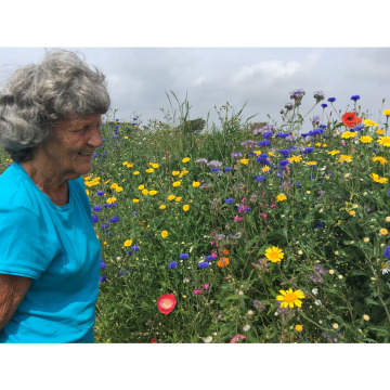 Photo of Joan GLANVILLE