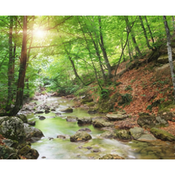 Photo of Joan Dora WHITE