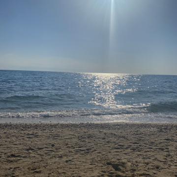 Notice Gallery for Sylvia Gillian CHAWNER