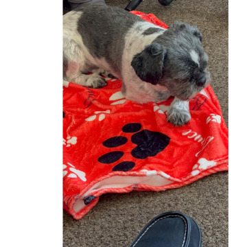 Photo for notice Karen BRICE