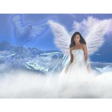 Notice Gallery for Susan LANE