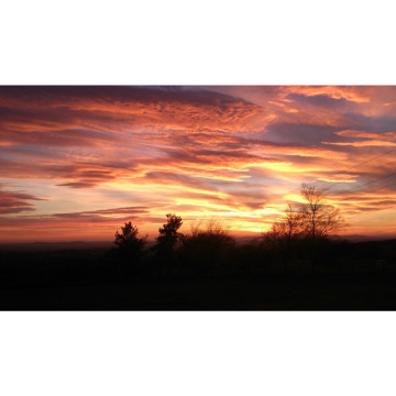 Notice Gallery for Kevin James CHERRY