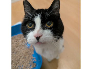 Notice Gallery for Stephen John BROPHY