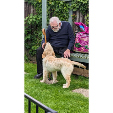 Notice Gallery for George WHITE