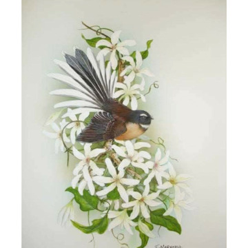 Notice Gallery for Molly WILLMER