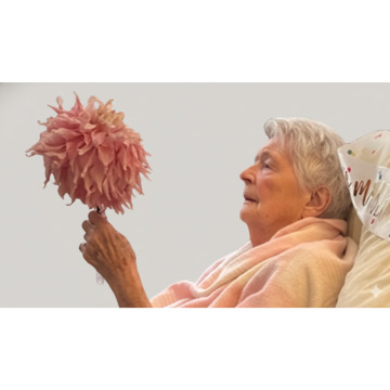 Photo of Olive HOWES