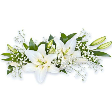 Notice Gallery for Mohinder Singh SOKHI