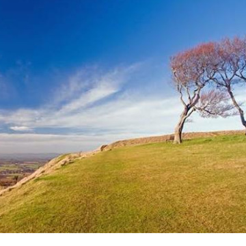 Photo of Gwyneth Marion HURCOMBE