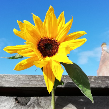 Notice Gallery for David HENDY