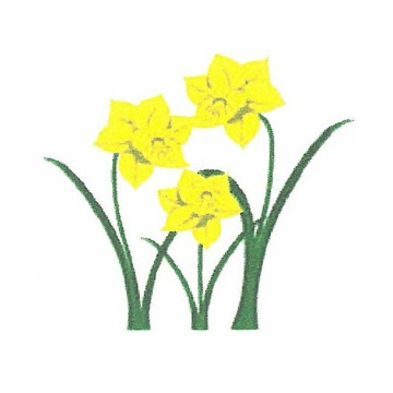 Photo of Sarah POWELL