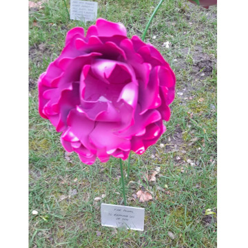 Notice Gallery for Enid SMITH