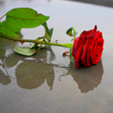 Notice Gallery for John CURLEY