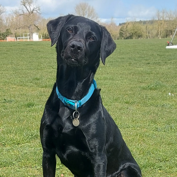 Photo of Phyllis Mary POLLARD